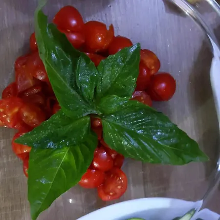 Toledo Relax Vendégház Nápoly